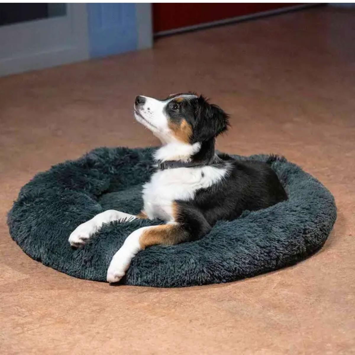 Pet Bed Doris
