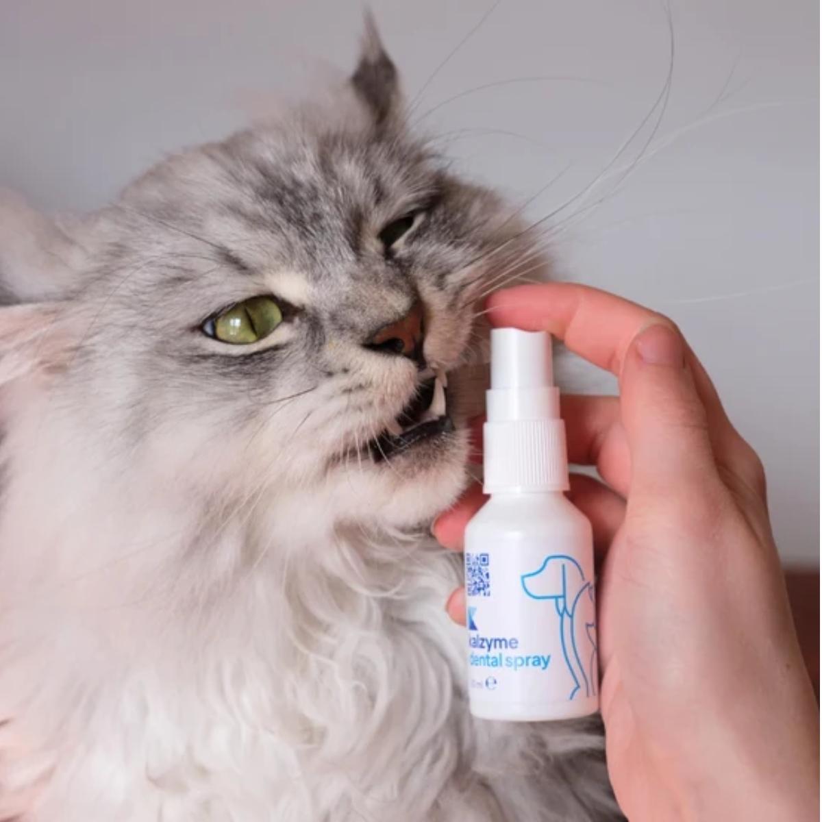 Hammassuihke Dental Spray 30ml