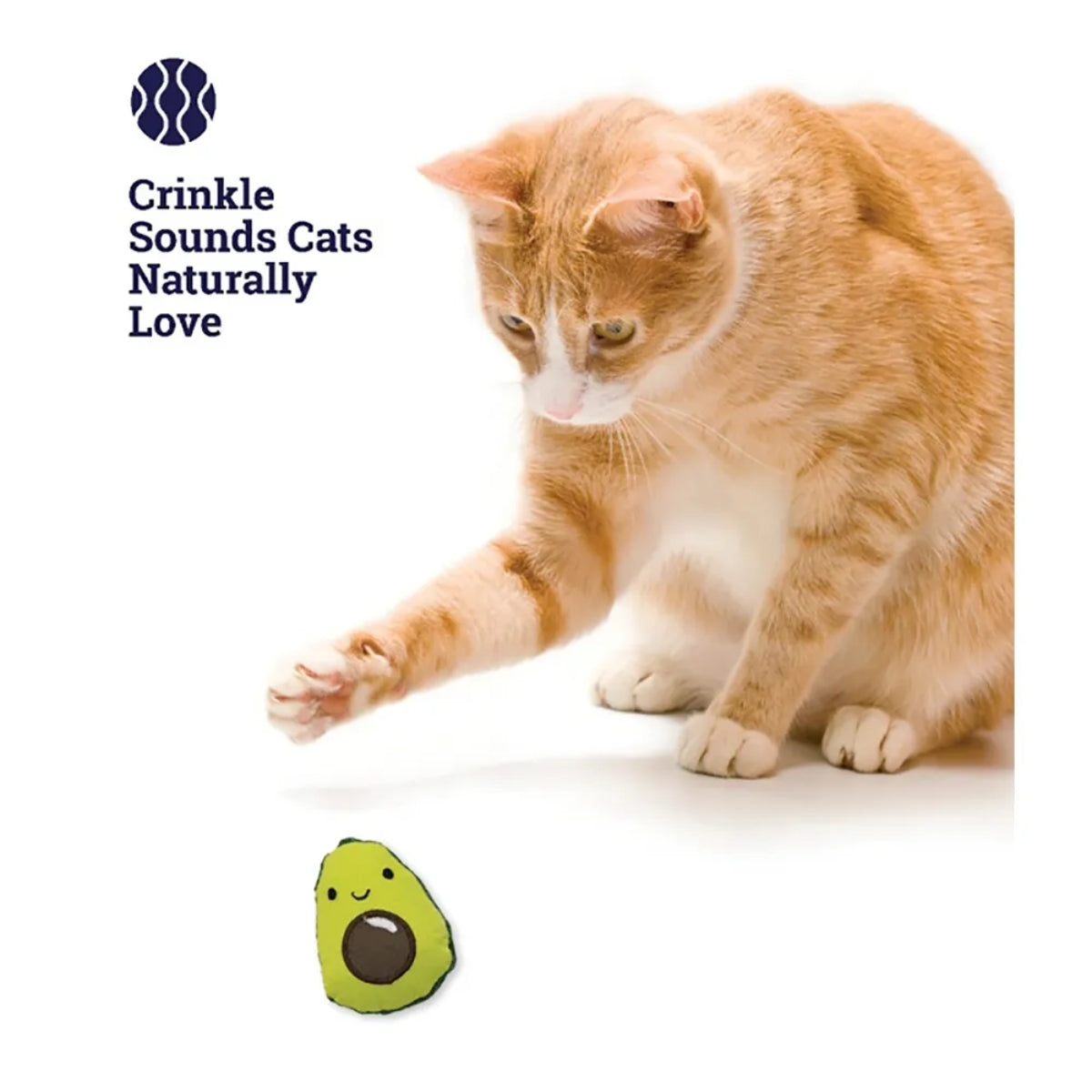 Kissanlelu Lil' Avocato Dental
