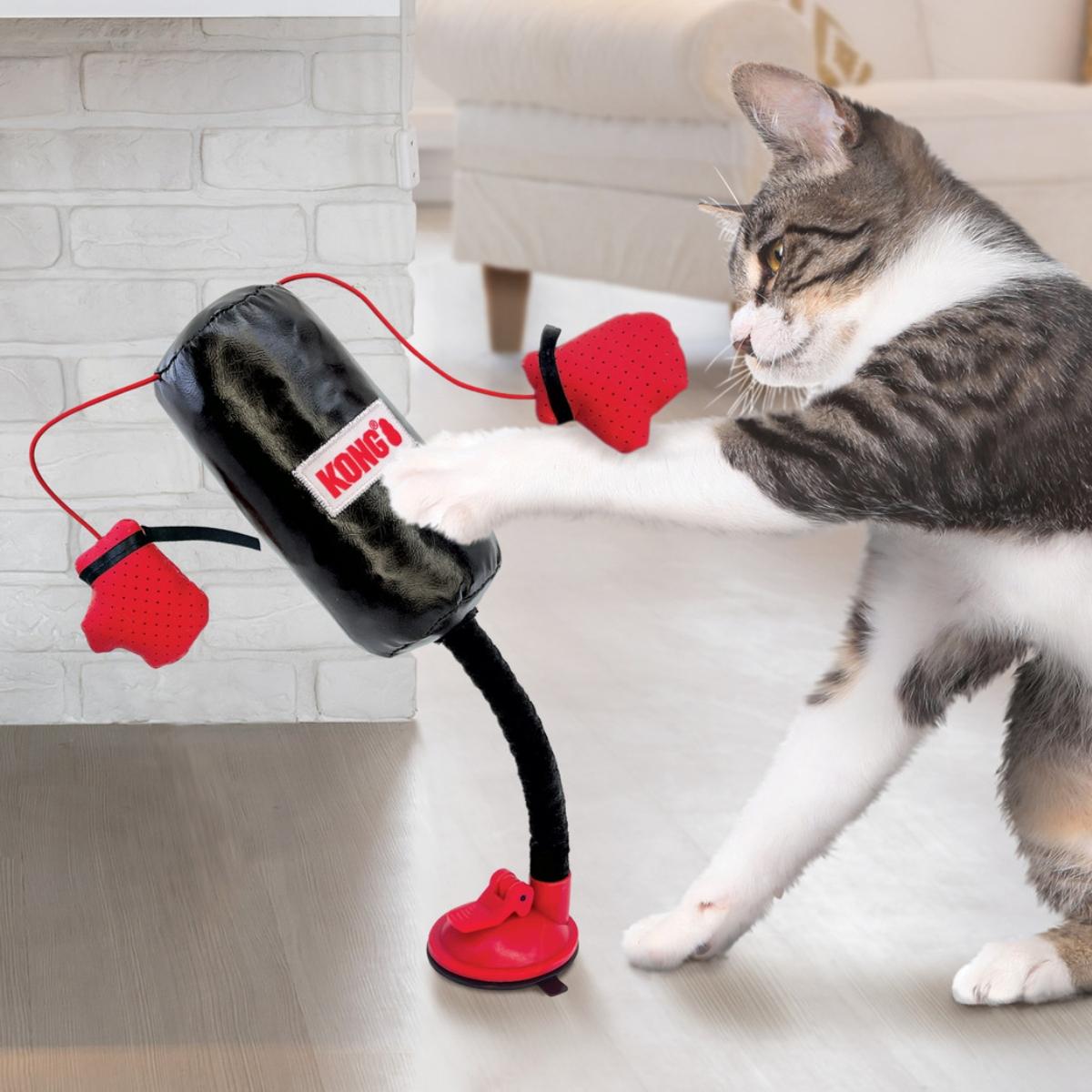 Cat Toy Connects Punching Bag