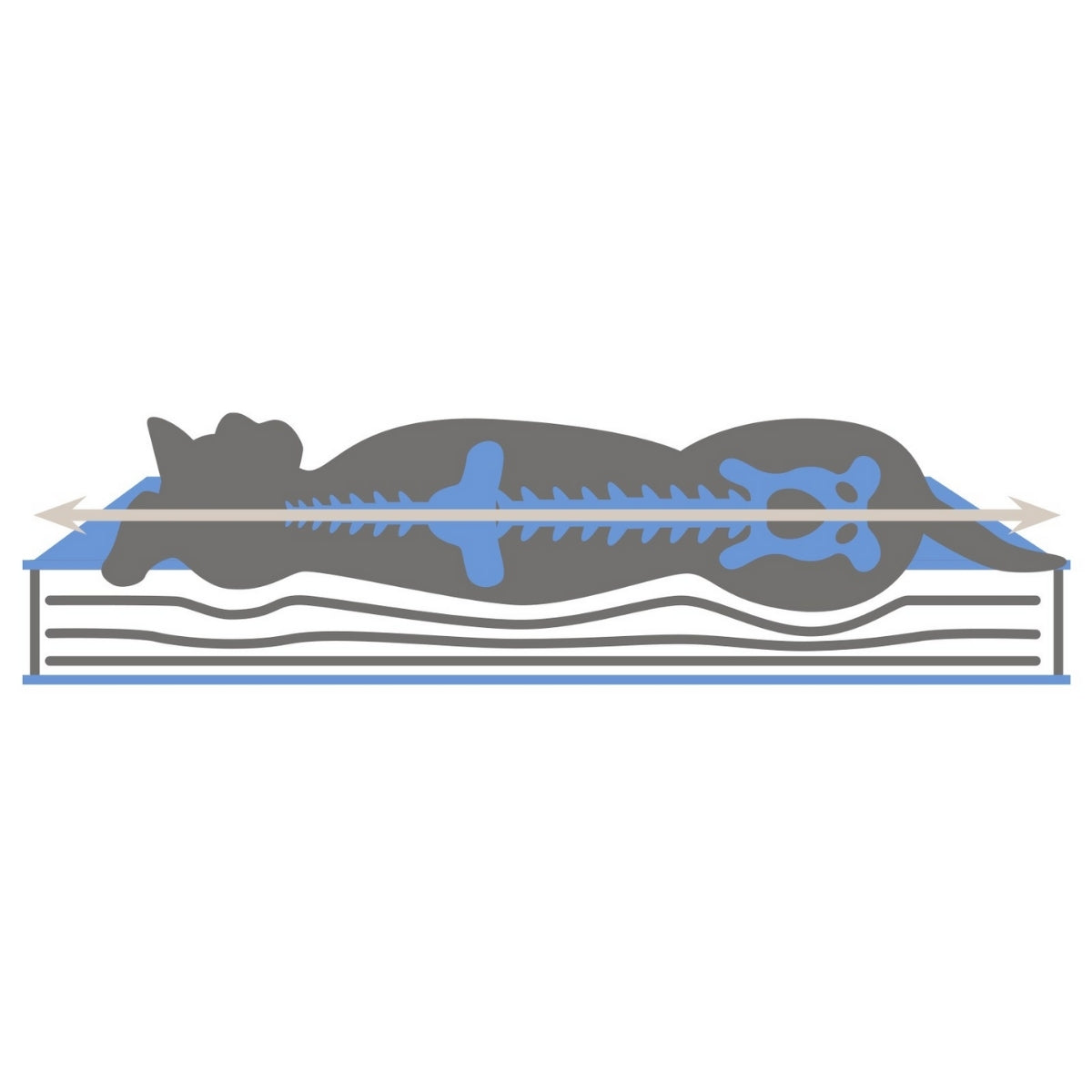 Peti Memory Foam Mattress