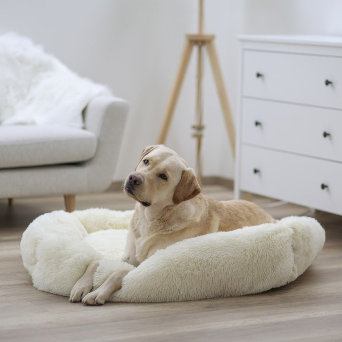 Peti Cosy Fluffy Creme