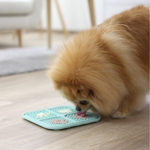 Aktivointimatto Imukupeilla Lick Mat