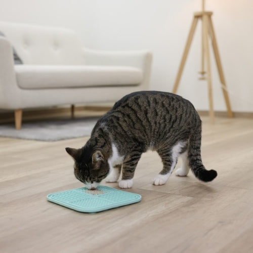 Aktivointimatto Imukupeilla Lick Mat