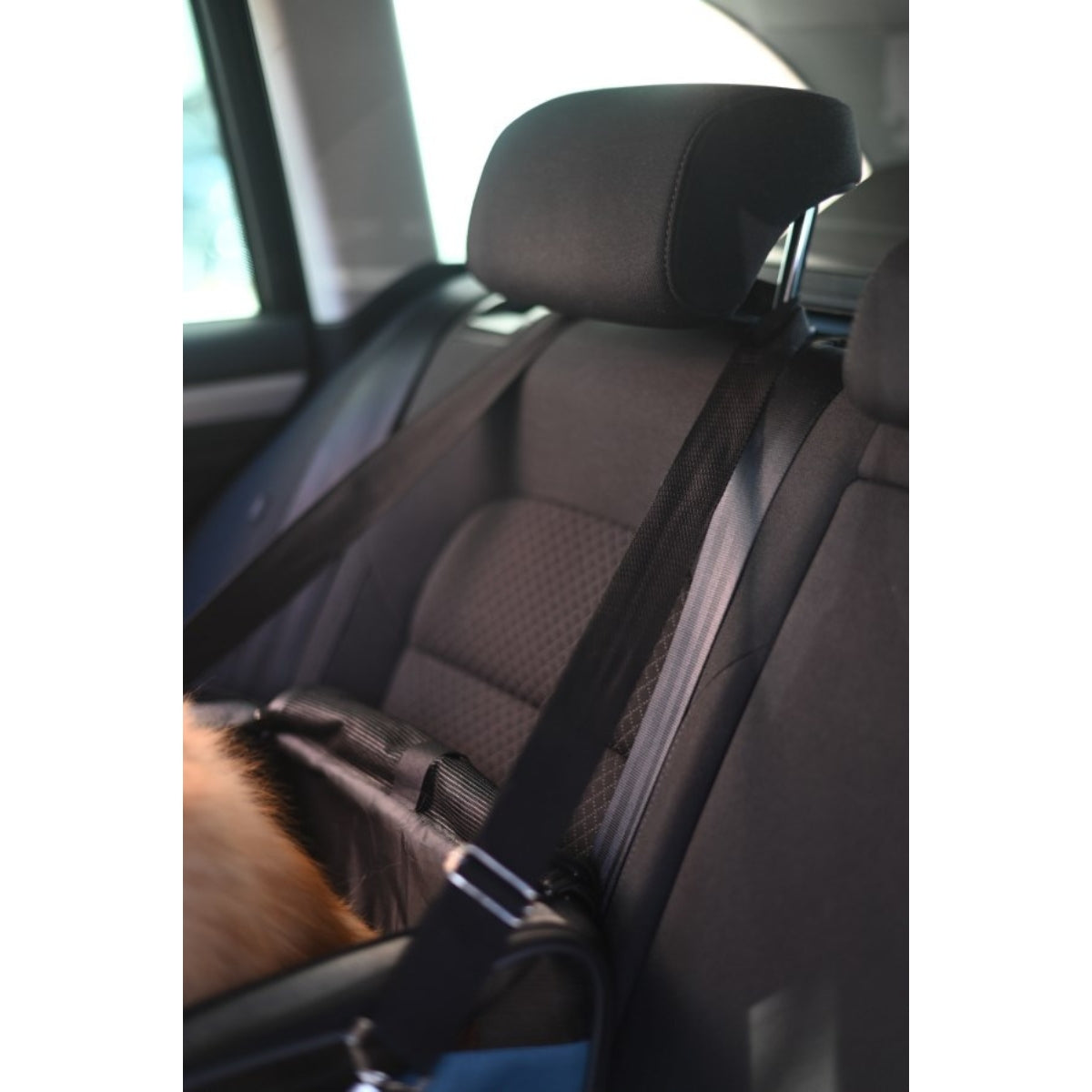 Kuljetuslaukku Travel Vacation Blue