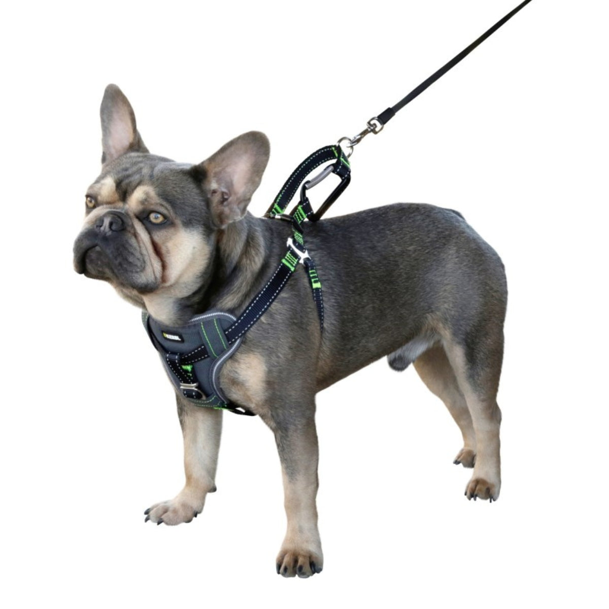 Turvavyövaljaat Safety Harness