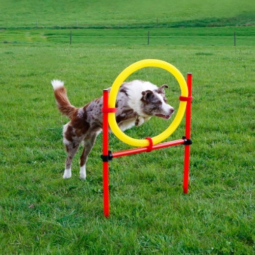 Agility Estesetti Complete 13 Osaa