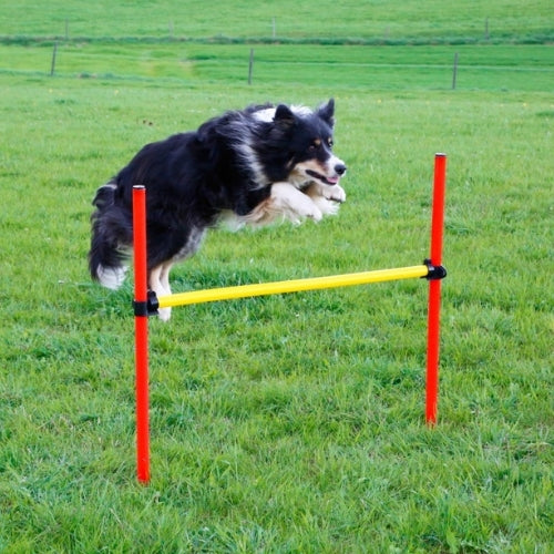 Agility Estesetti Complete 13 Osaa