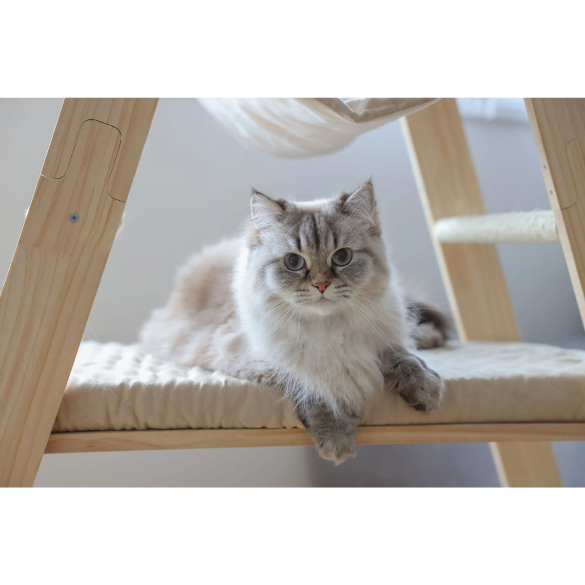 Kiipeilypuu Ladder