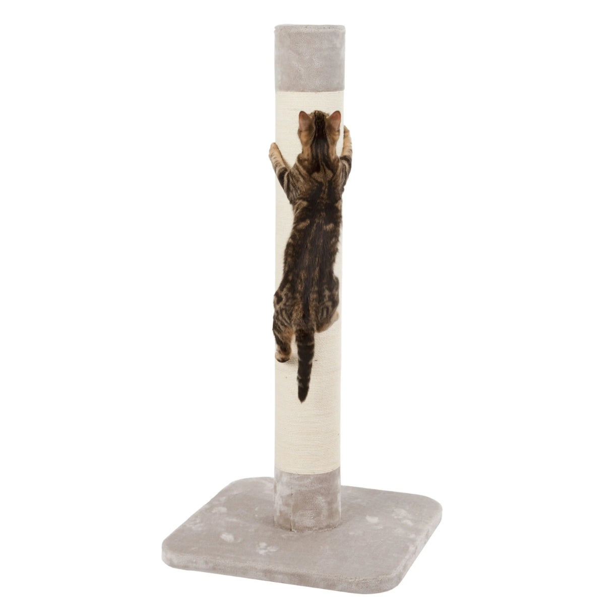 Raapimapuu Cat Tower