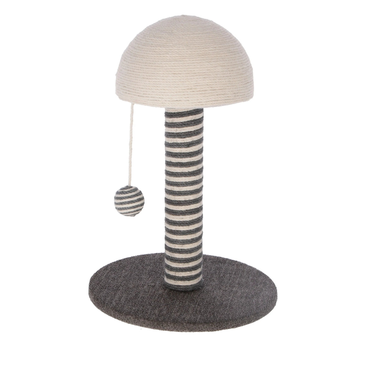 Raapimapuu Funghi