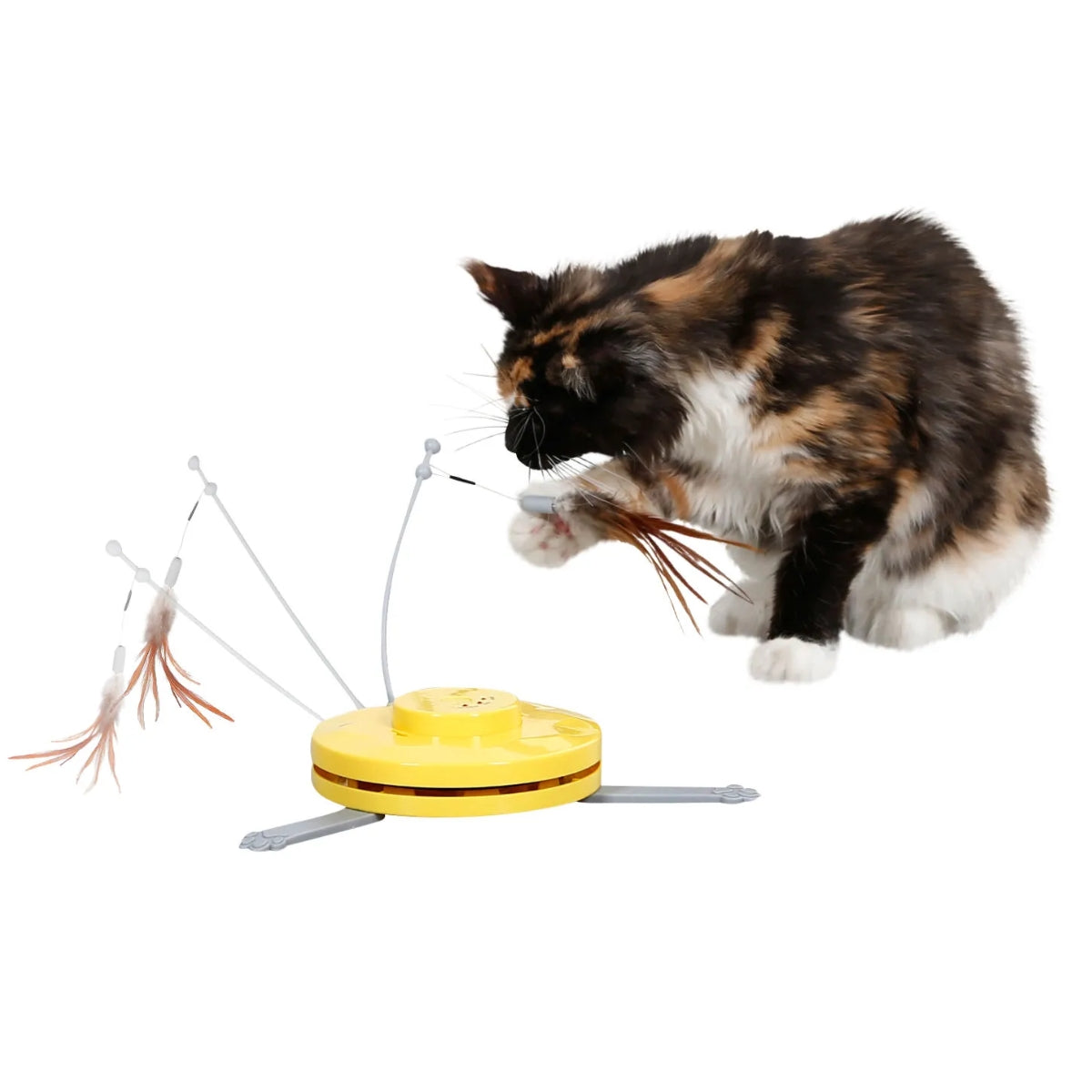 Aktivointilelu Catch A Feather 2in1