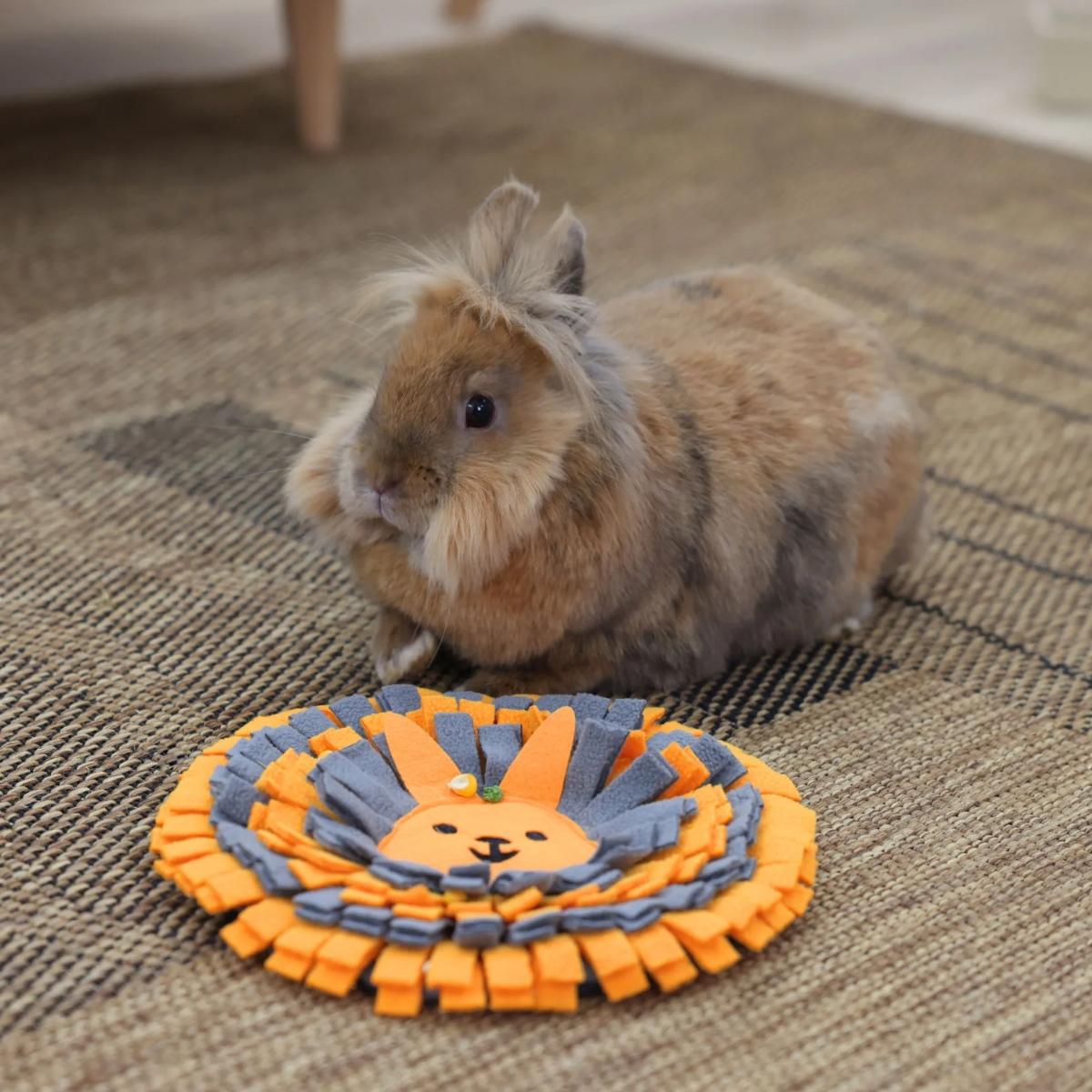 Kätkömatto Rabbit