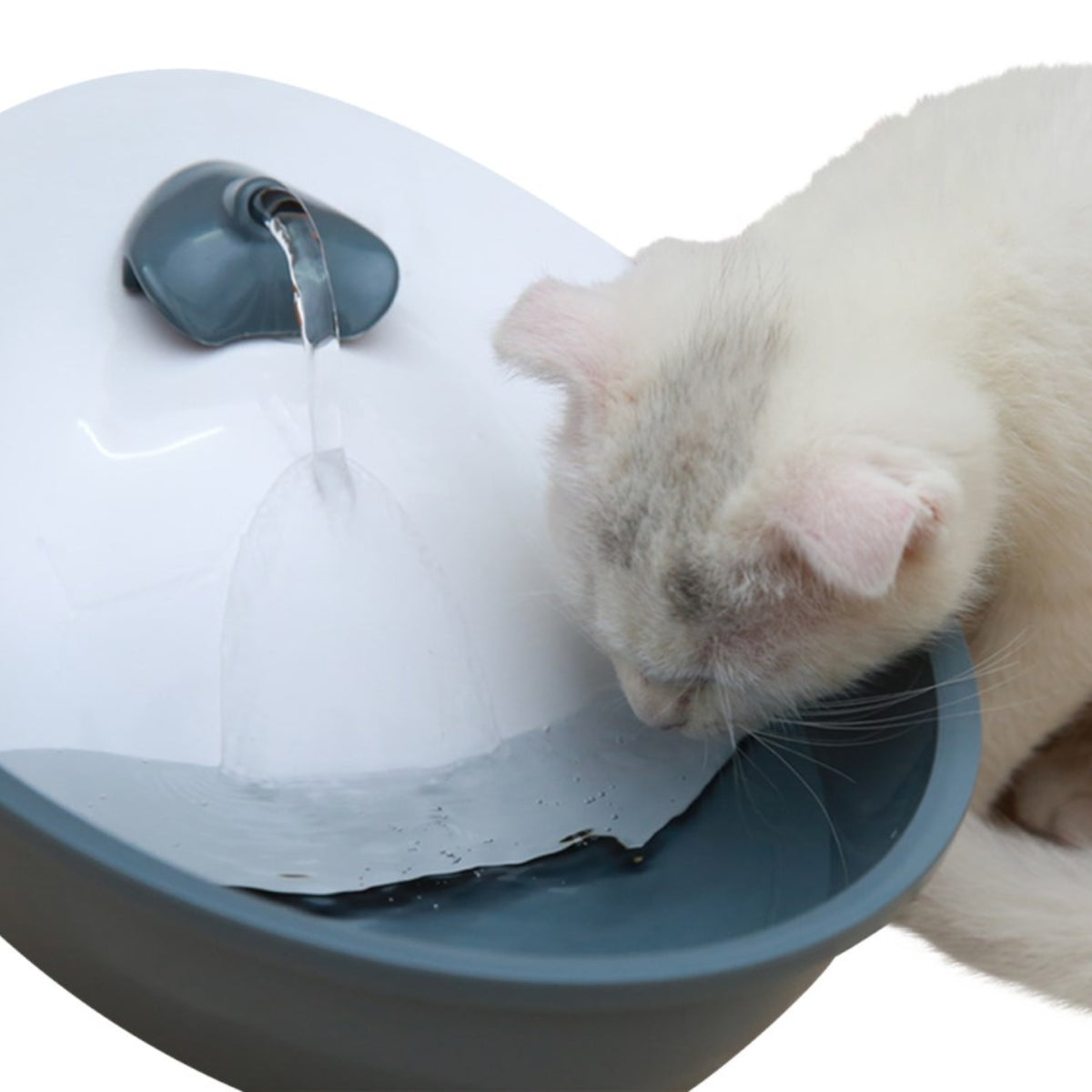 Juoma-automaatti Classic Pet Fountain