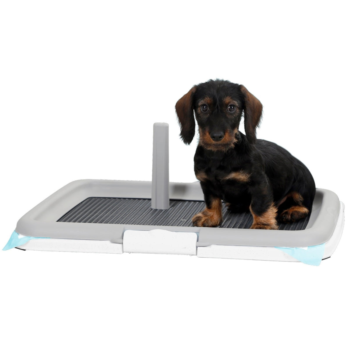 Pentualusta Puppy Toilet Training Set