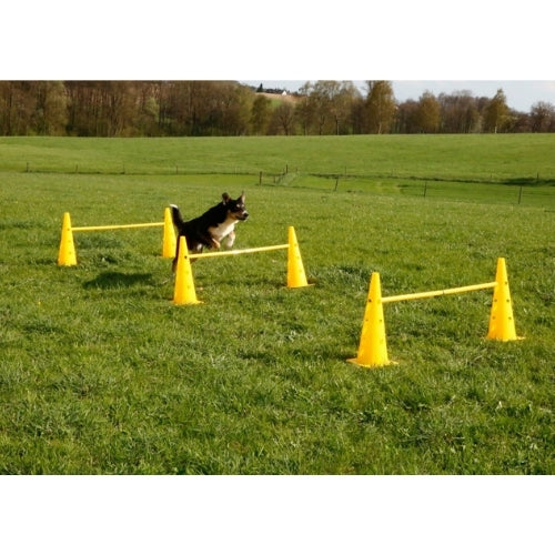 Agility Kartio/Este Setti 2-in-1