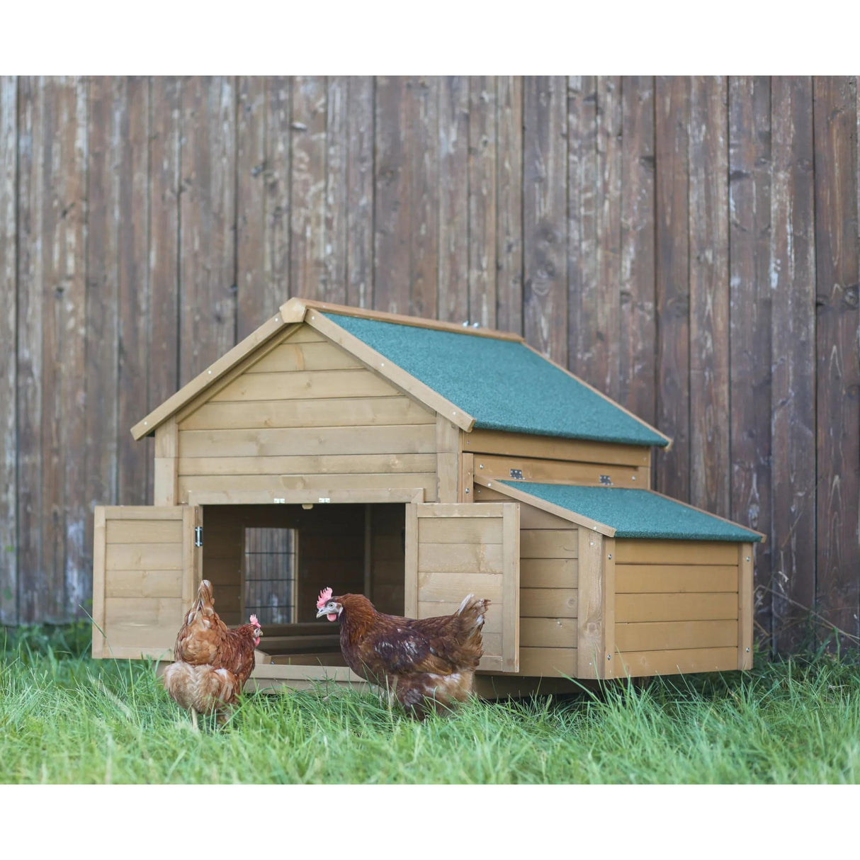 Kana- ja Kanitalo Hens