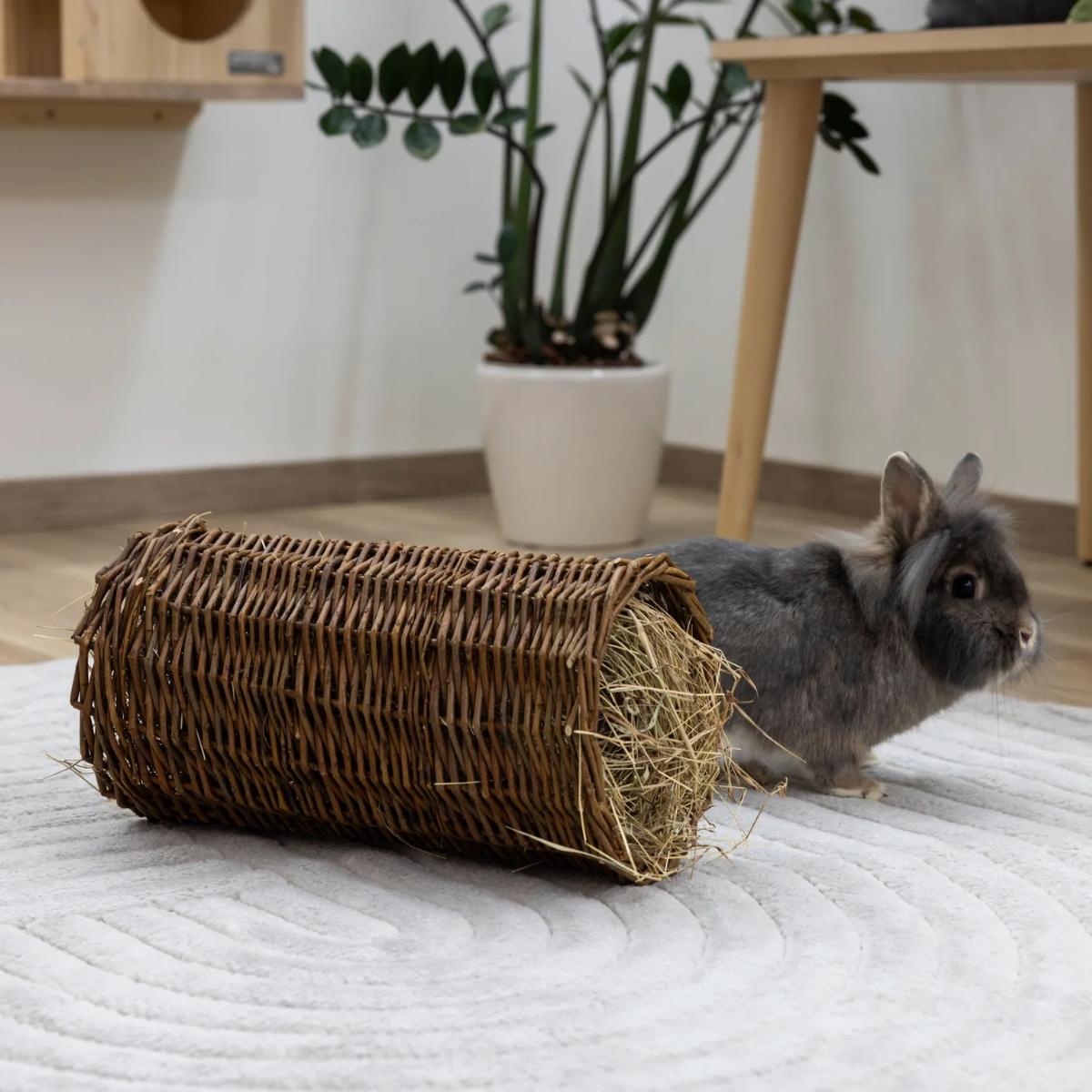 Pajutunneli Heinällä