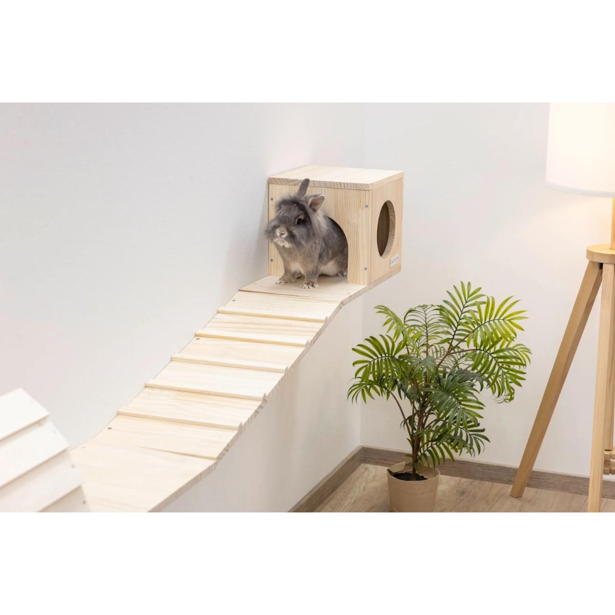 Small animal Wall Parkour Skywalk 6