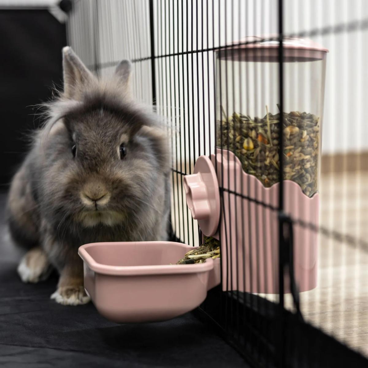 Ruokinta-Automaatti Feed Dispenser