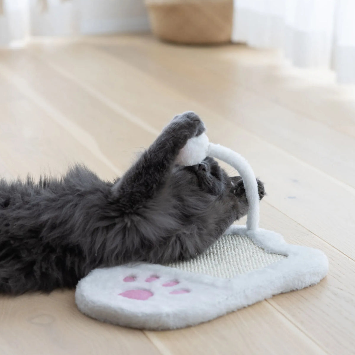 Raapimalauta Paw