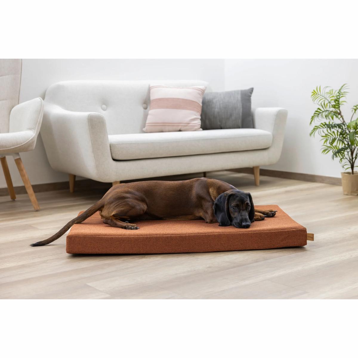 Peti Memory Foam Oliver Rust