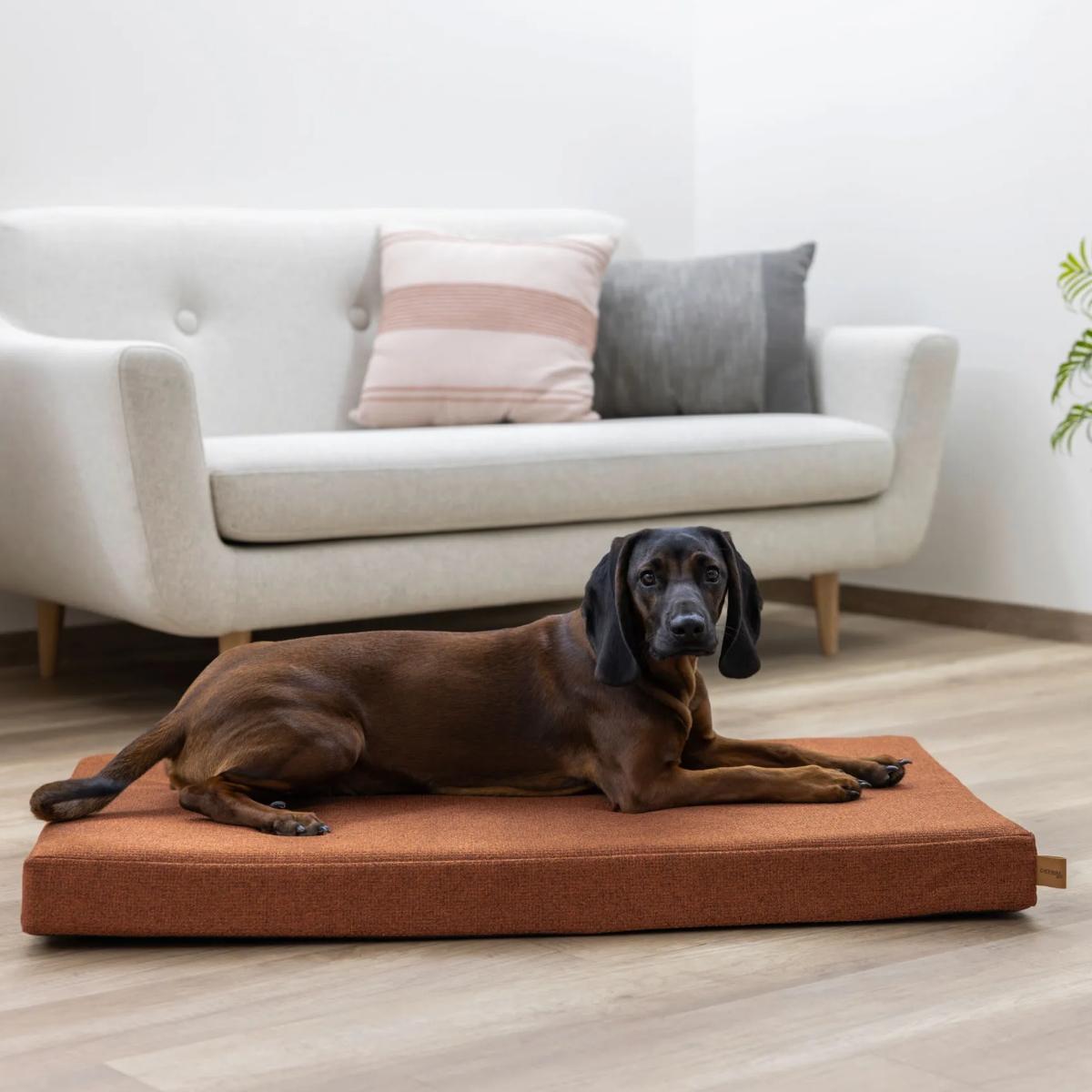 Peti Memory Foam Oliver Rust