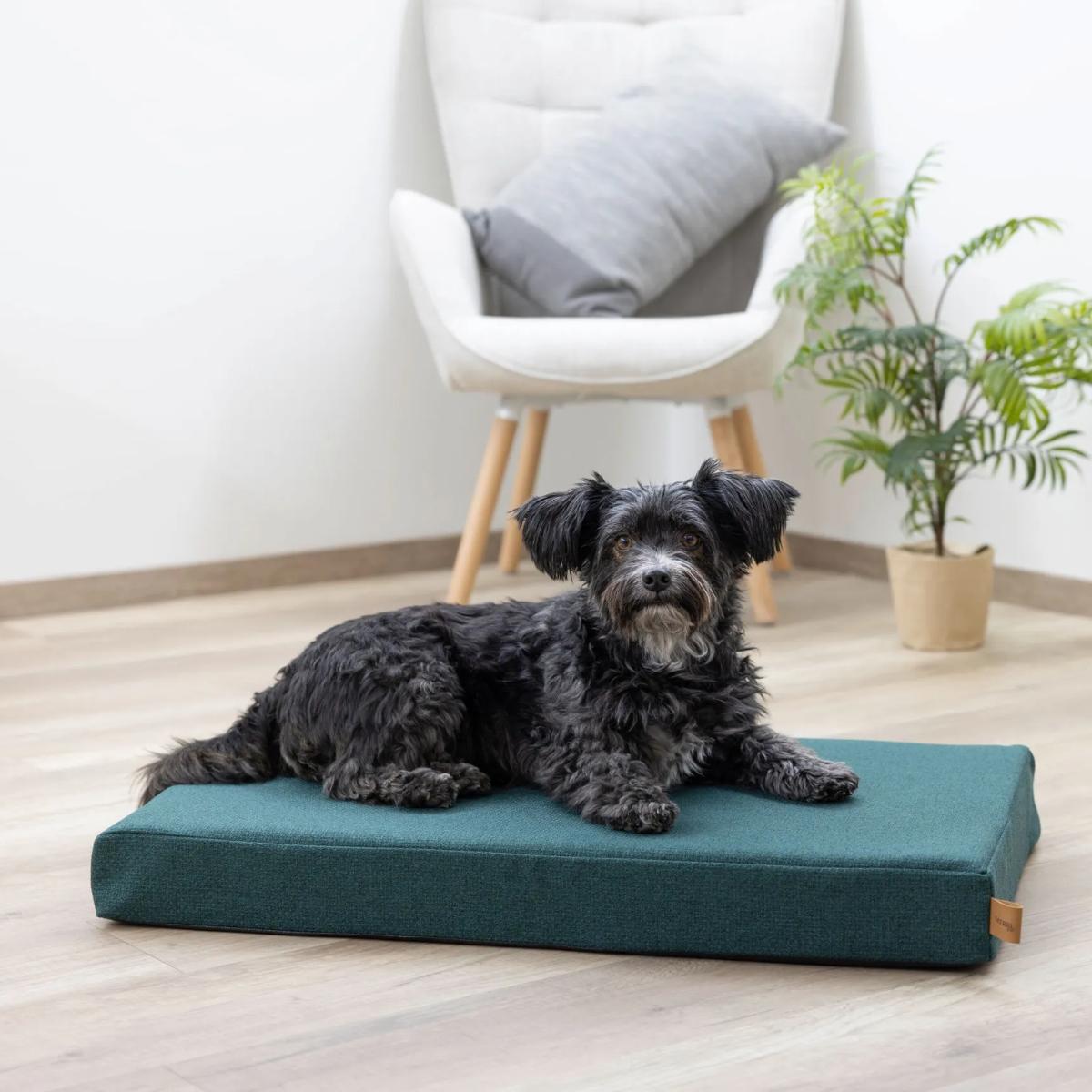 Peti Memory Foam Oliver English Green