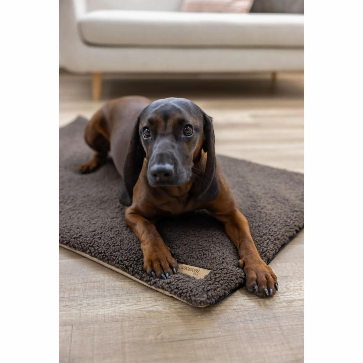 Memory Foam Mattress Multi-functional