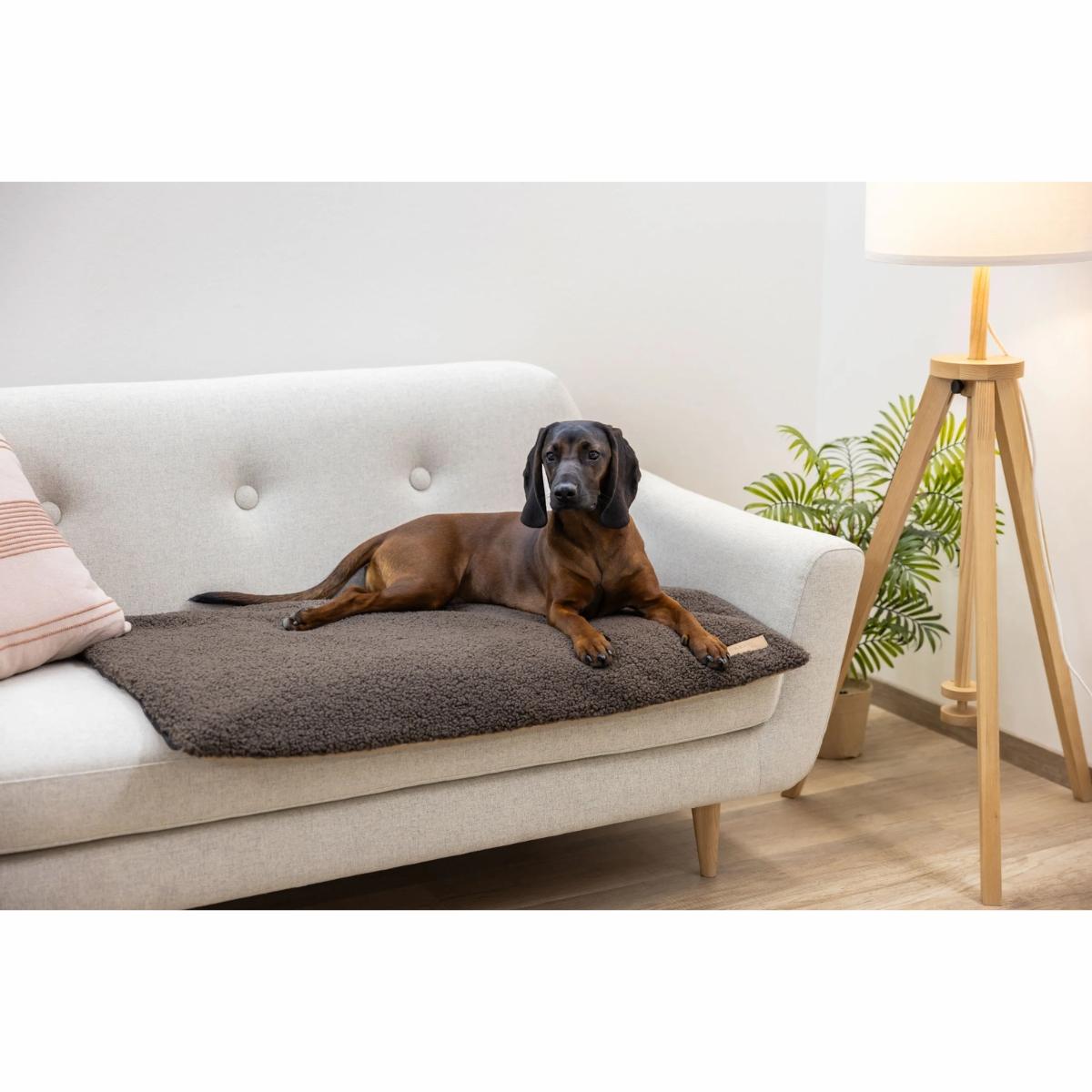 Memory Foam Mattress Multi-functional