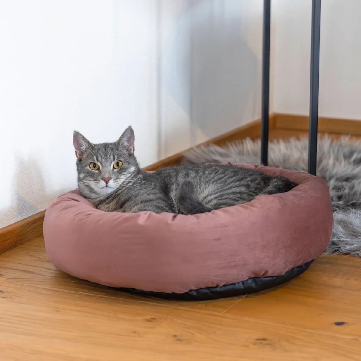Snugly Bed Velvet