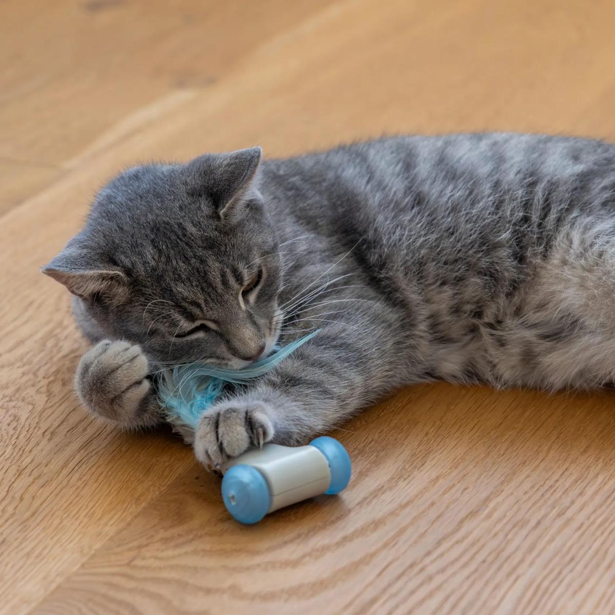 Aktivointilelu Racing Mouse