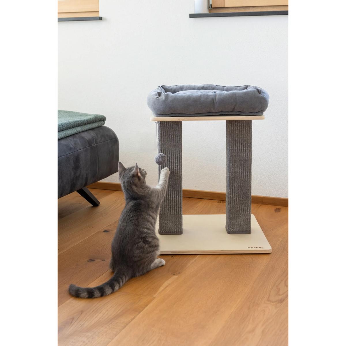 Scratching Post Noah
