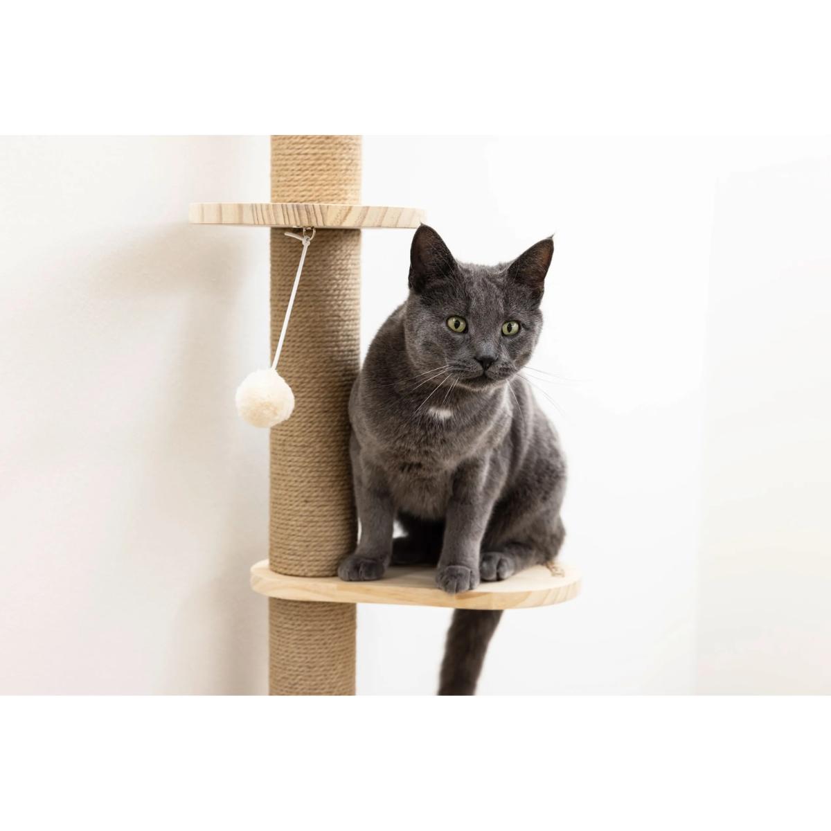 Scratching Post Timber