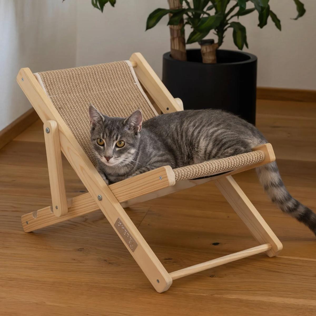 Cat Lounger Beach