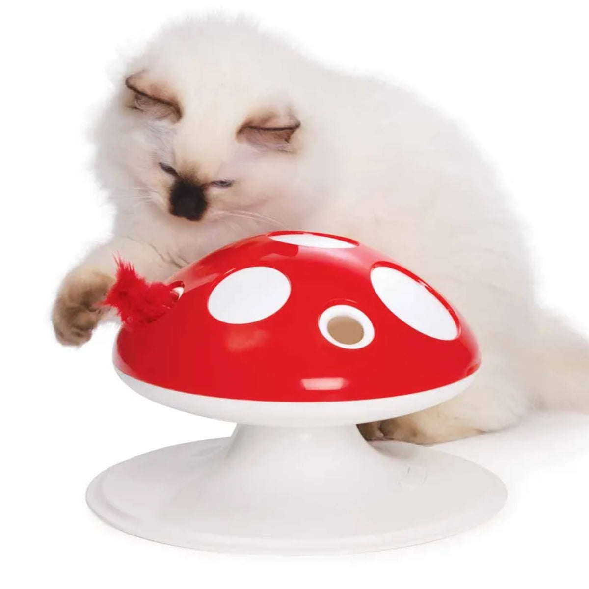 Aktivointilelu Senses 2.0 Mushroom