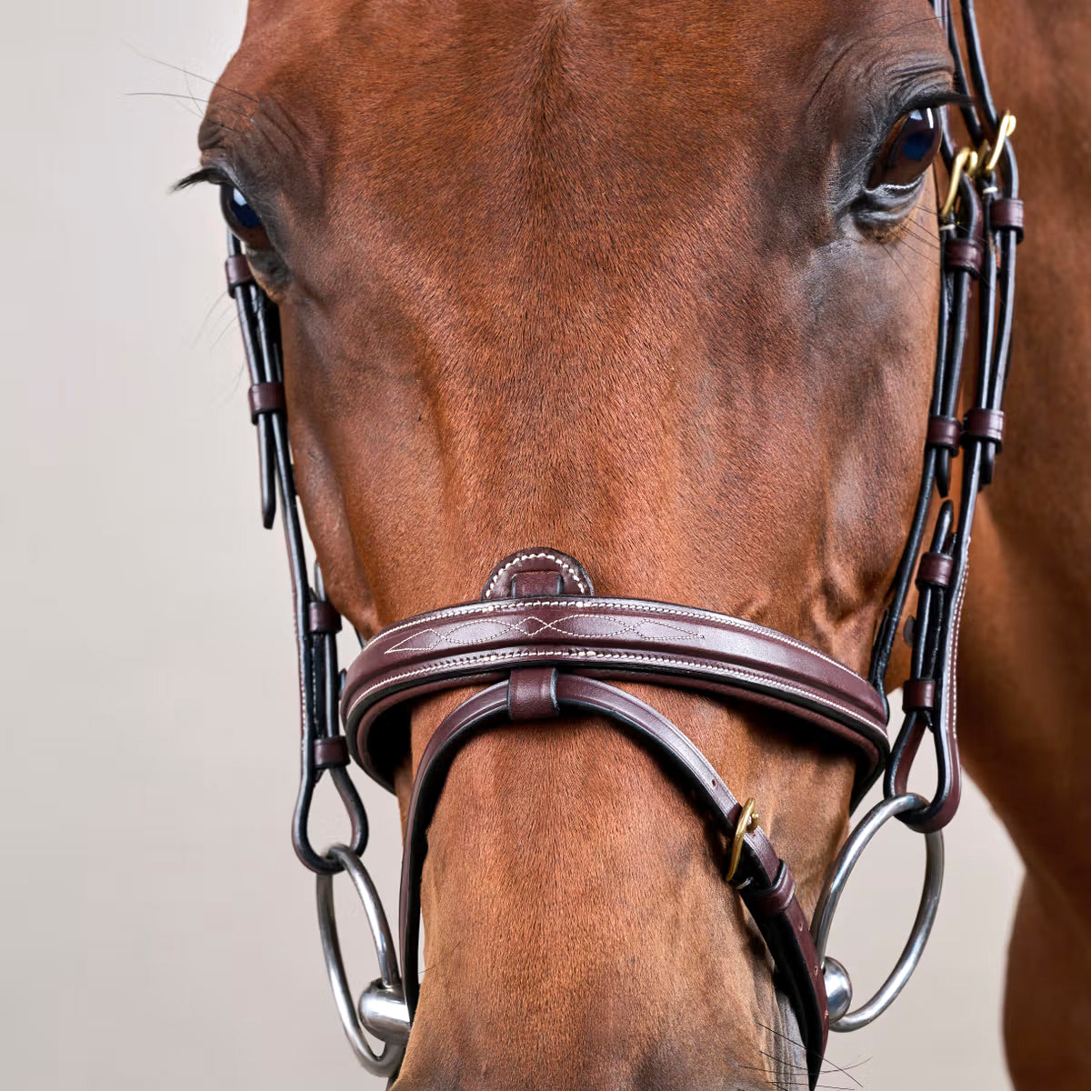 Suitset Flash Noseband NE/D Collections