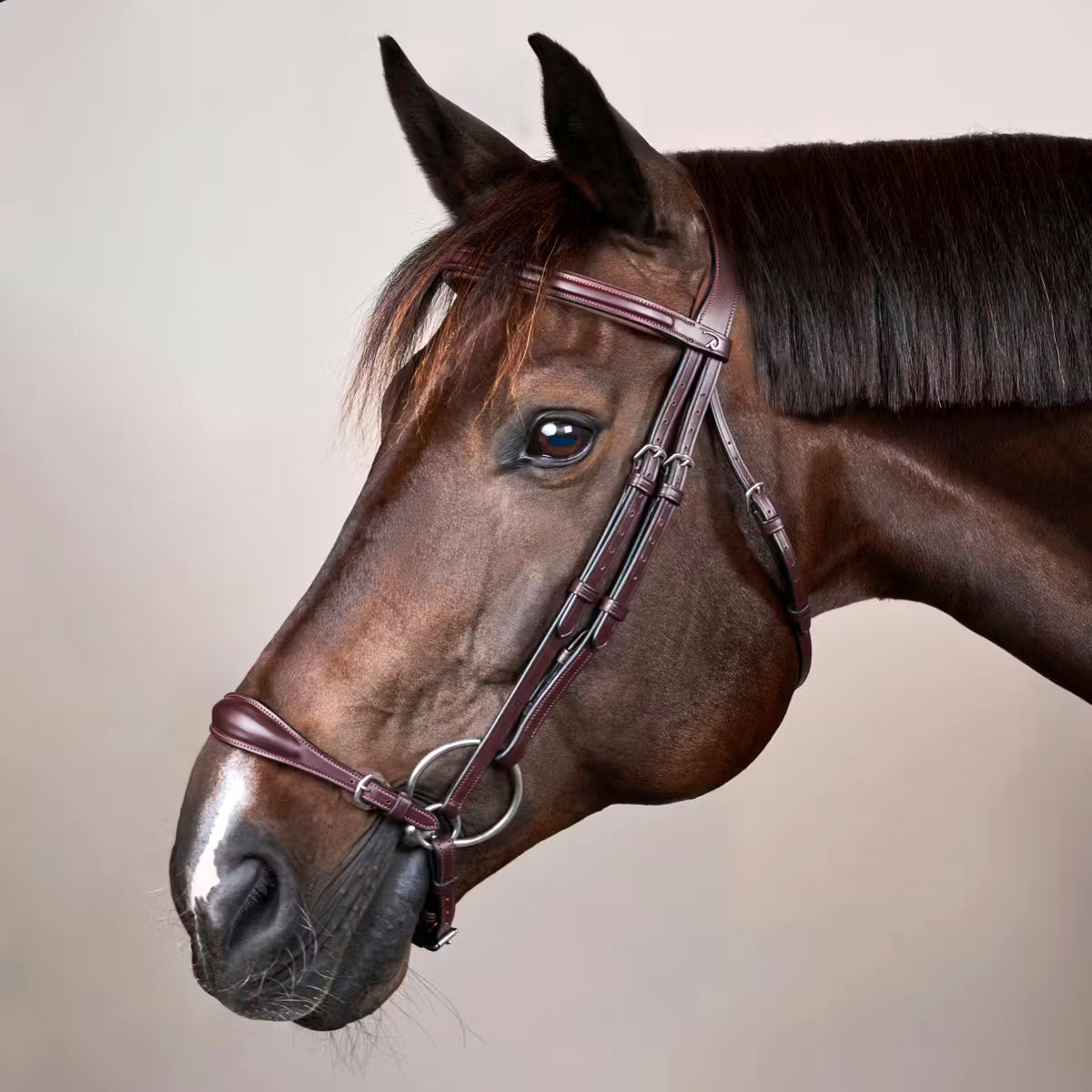 Suitset Drop Noseband NE/D Collections