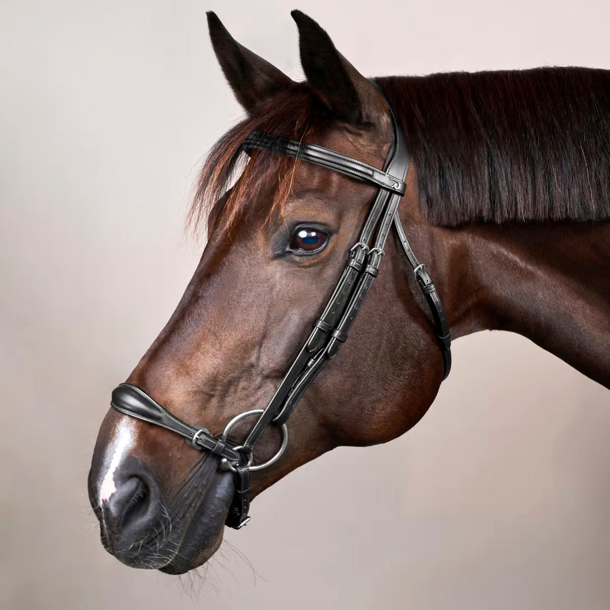 Suitset Drop Noseband NE/D Collections