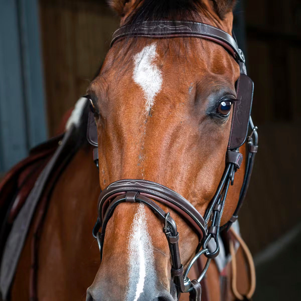 Silmälaput Blinkers