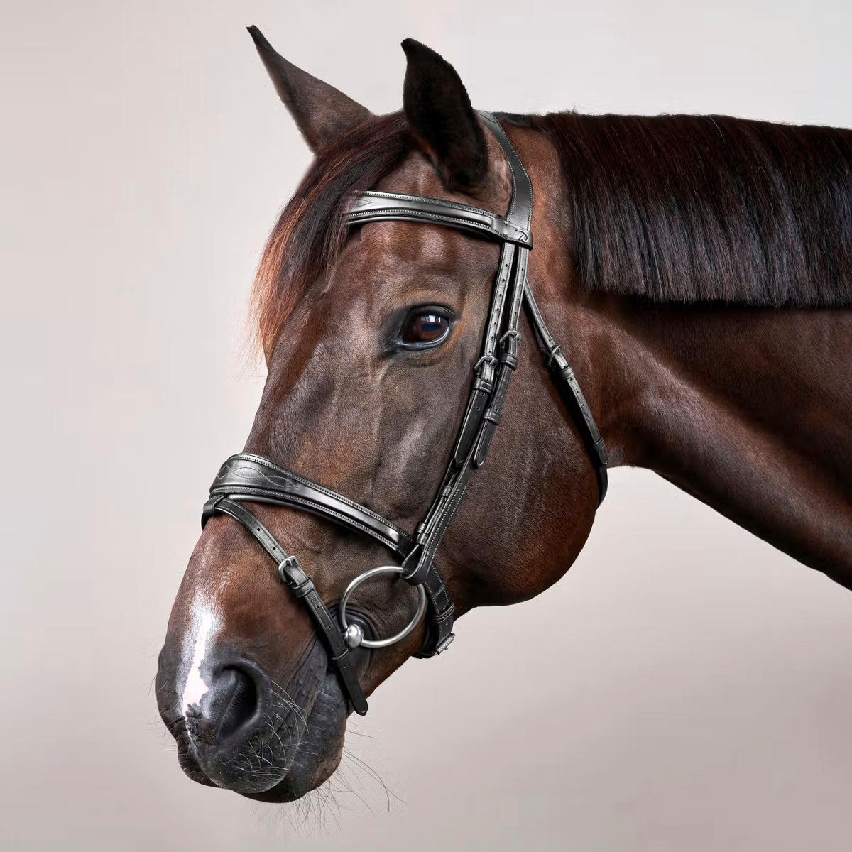 Suitset Anatomic Flash Noseband NE/US/D Collections