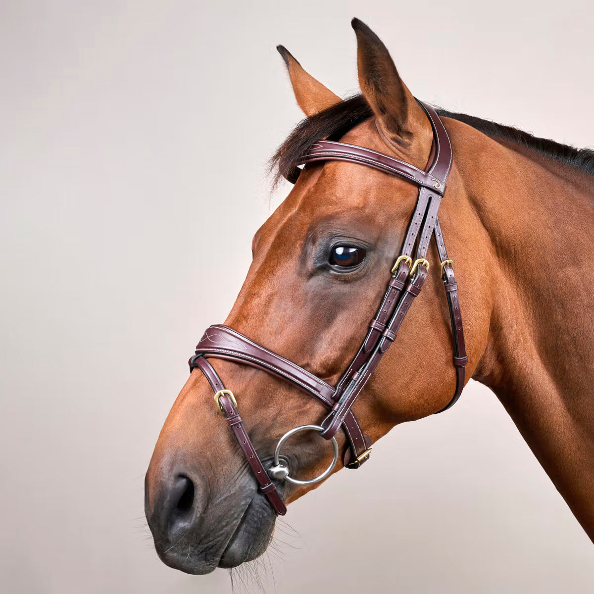 Suitset Anatomic Flash Noseband NE/US/D Collections
