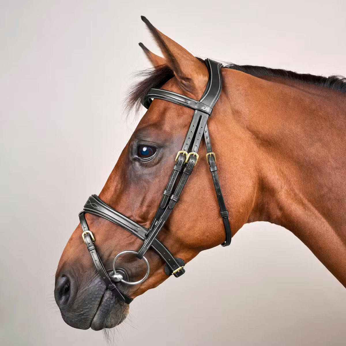 Suitset Anatomic Flash Noseband NE/US/D Collections