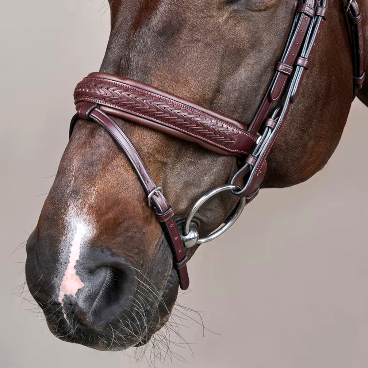 Bridle Plaited Medium Crank Noseband NE/D Collections