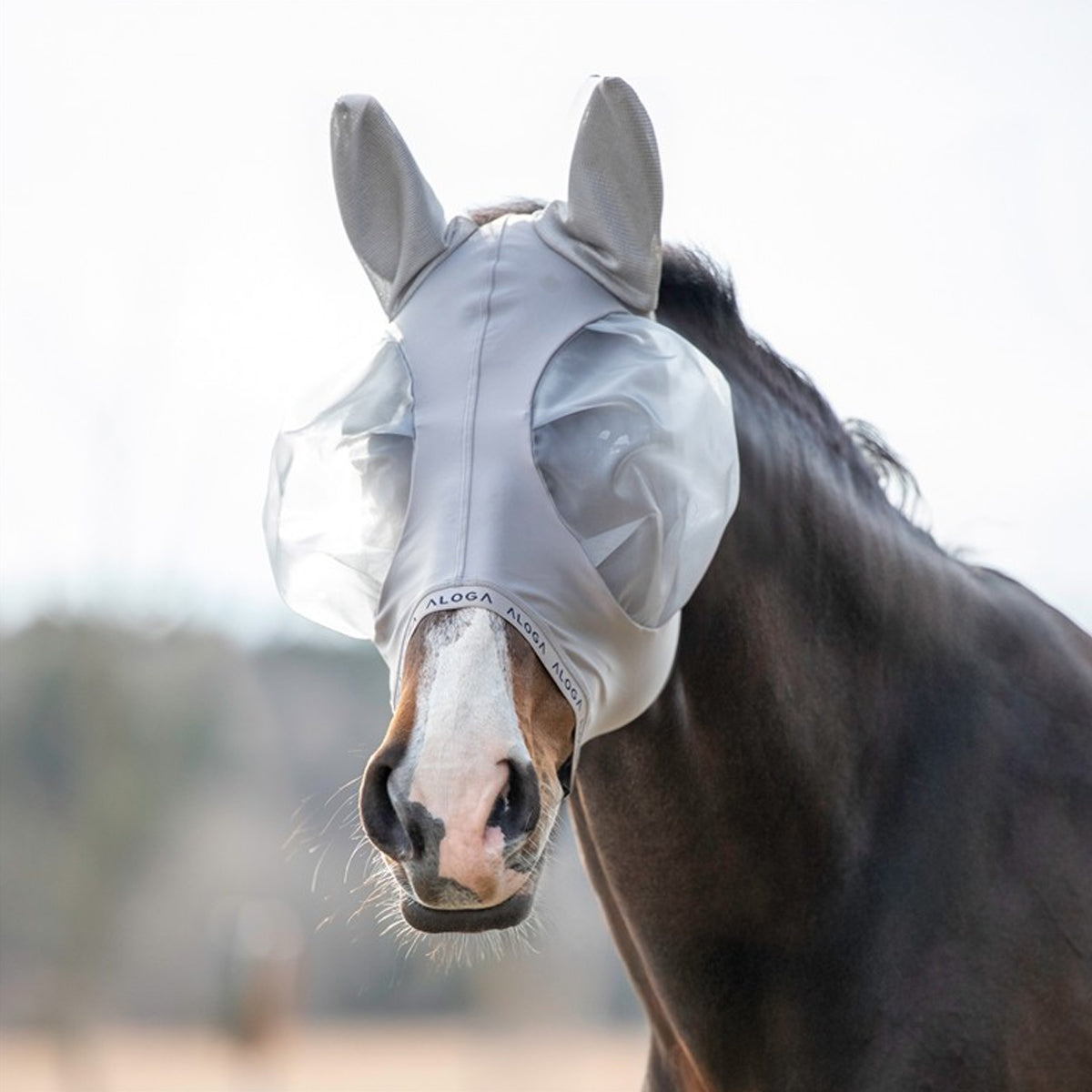 Kärpäshuppu Fly Mask