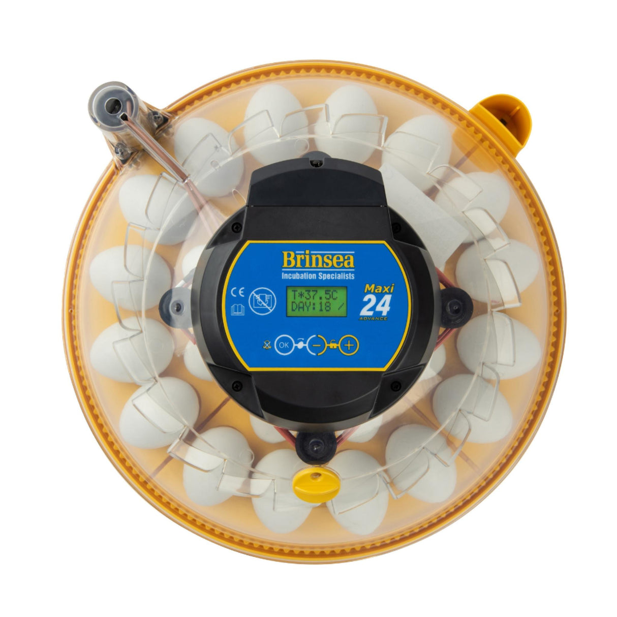 Hautomakone Maxi 2 EX