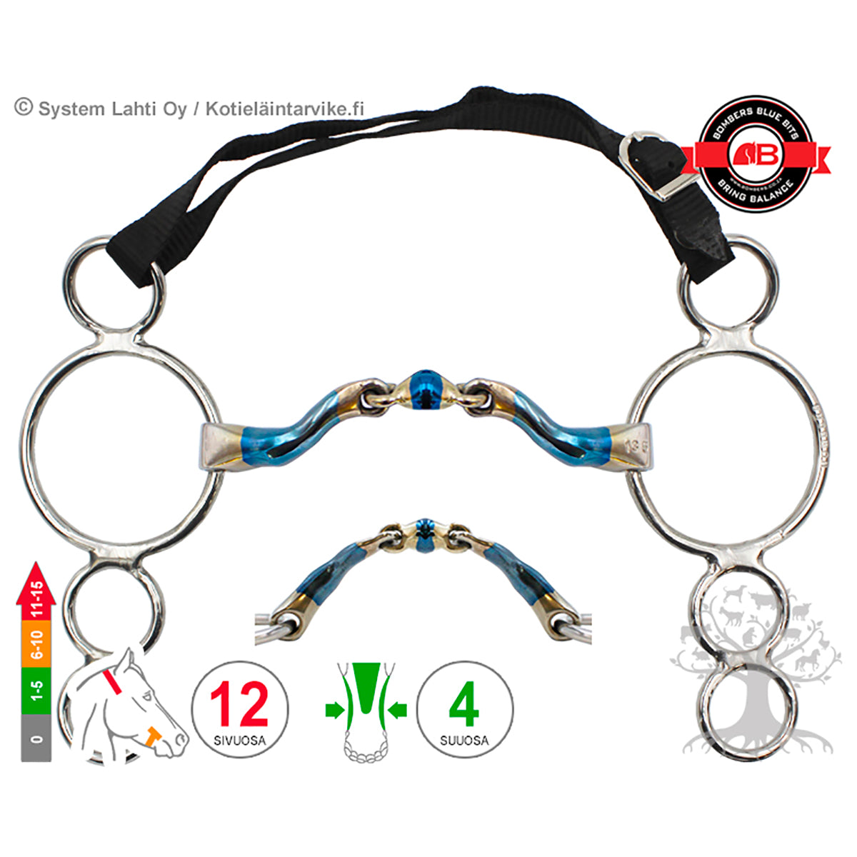 4 -Ring McHardy Dressage