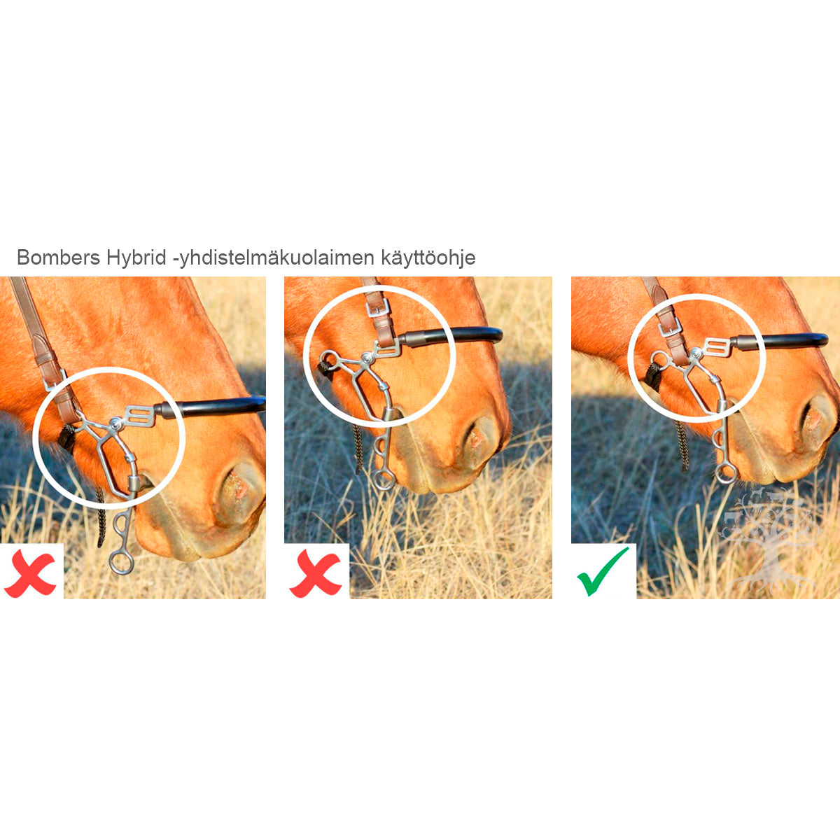 Hybrid Snaffle Lock Up