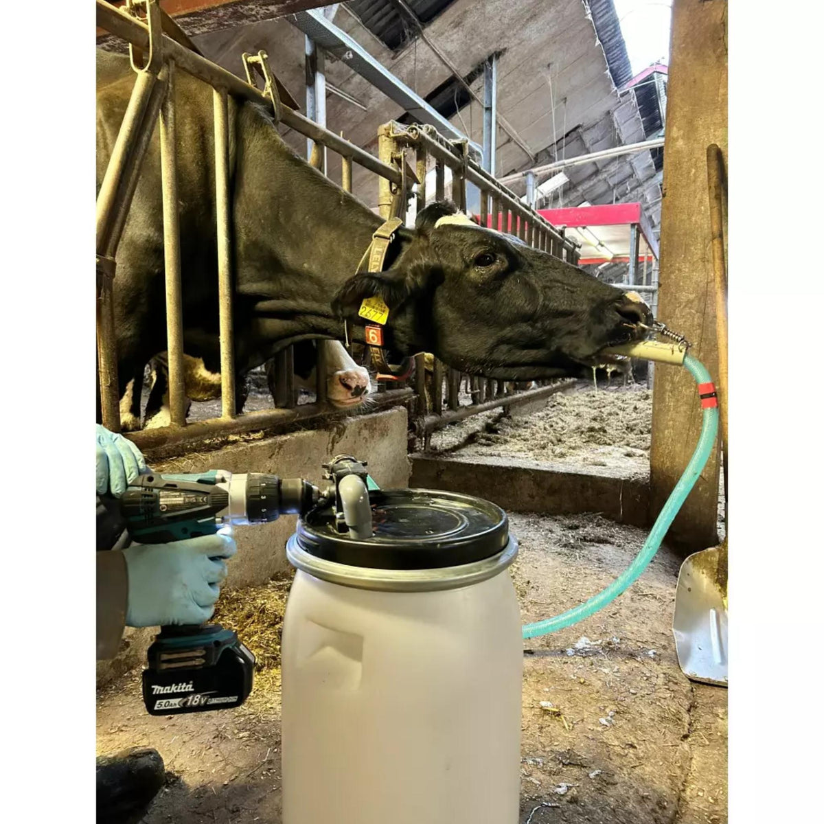HAC Cow Drencher Drill Driven