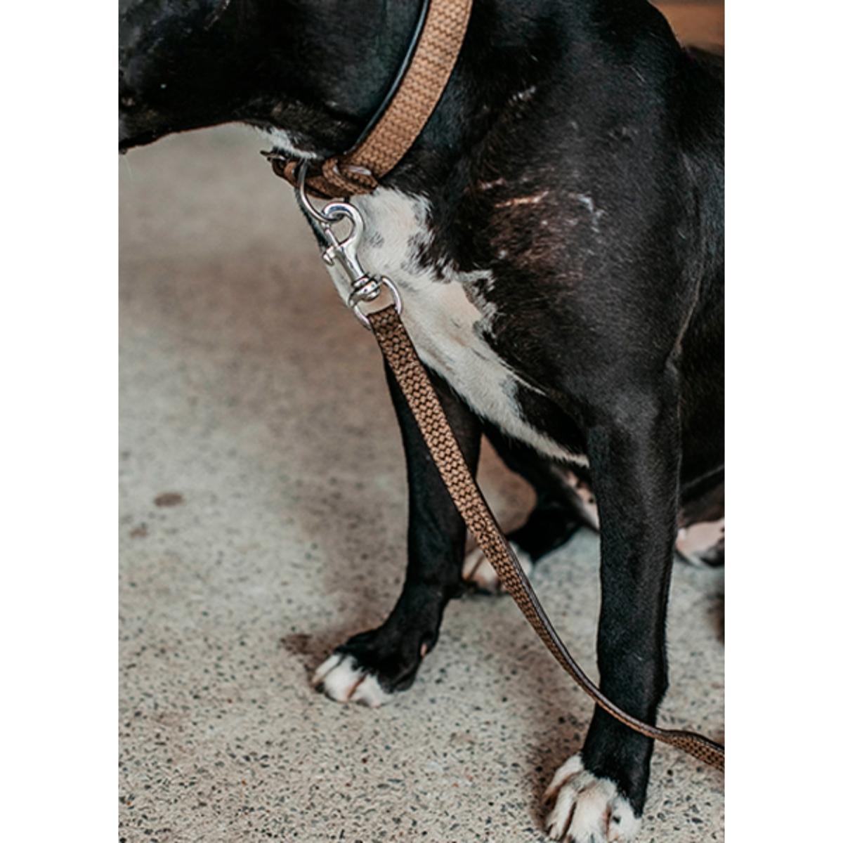 Nahkatalutin Basket Leather Leash